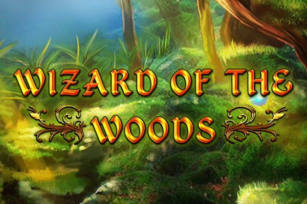 Spielbild: Wizard of the Woods von 2 By 2 Gaming