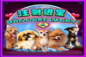 Spielbild: Doggone Lucky! von Aspect Gaming