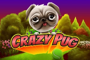 Game image: Crazy Pug by Swintt