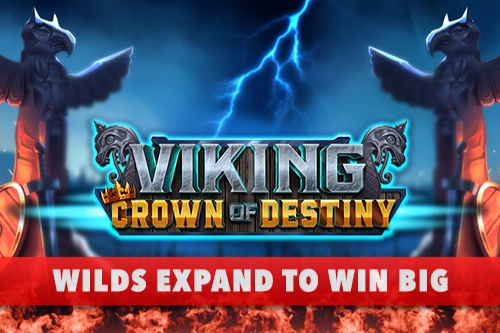 Game image: Viking Crown by PureRNG