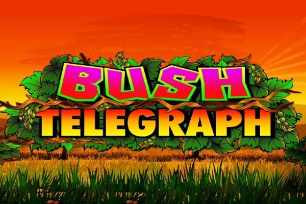Spielbild: Bush Telegraph von Games Global