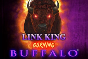Game image: Link King Burning Buffalo by Zitro