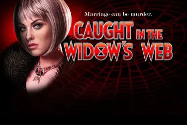 Εικόνα: Caught In The Widow's Web από High 5 Games
