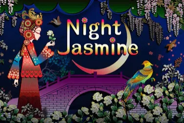 Spielbild: Night Jasmine von High 5 Games