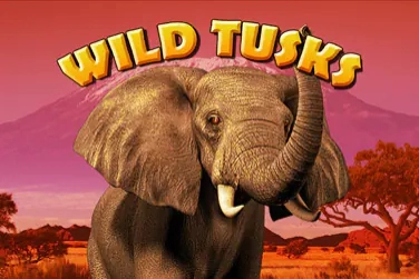 Εικόνα: Wild Tusks από High 5 Games
