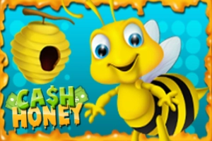 Game image: Cash Honey by DigitalWin