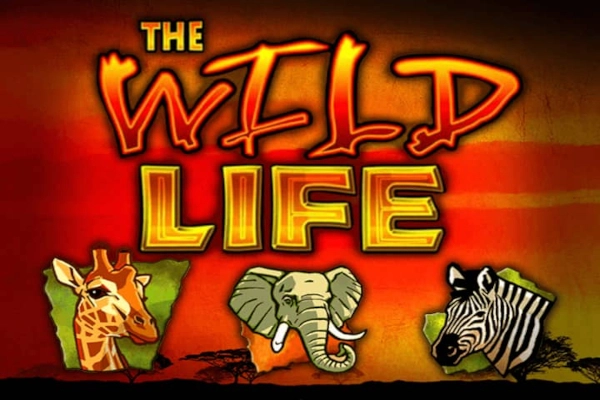 Game image: The Wild Life by IGT