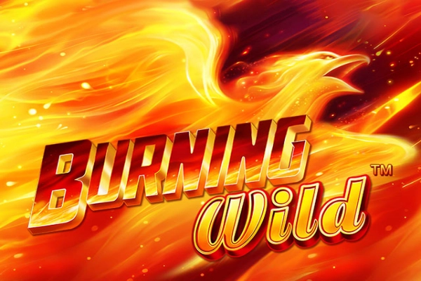 Spielbild: Burning Wild von Greentube