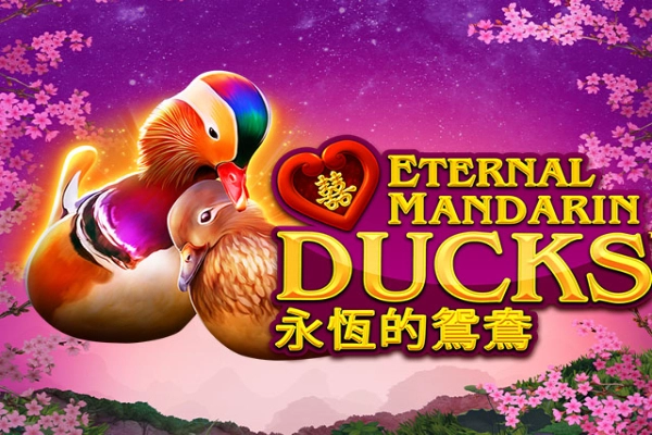 Spielbild: Power Prizes - Eternal Mandarin Ducks von Greentube