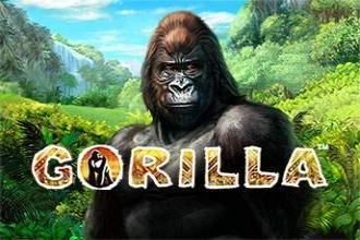 Game image: Gorilla by Greentube