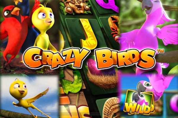 Spielbild: Crazy Birds von Greentube