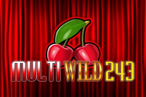 Spielbild: Multi Wild 243 von Merkur