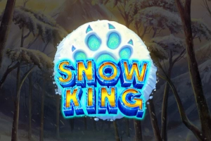 Game image: Snow King by REEVO