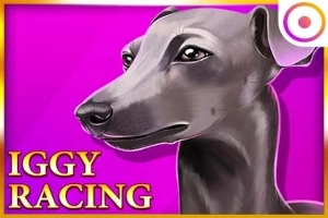 Game image: Iggy Racing by Onlyplay
