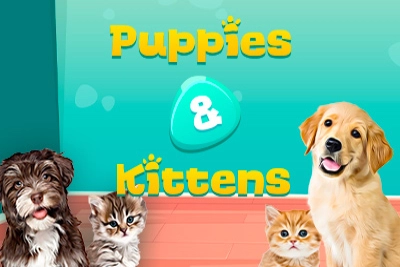 Game image: Puppies & Kittens by Capecod Gaming
