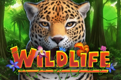 Game image: Wildlife by Capecod Gaming