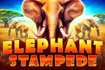 Spielbild: Elephant Stampede von RubyPlay