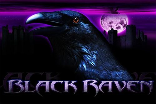 Game image: Black Raven by AUXO Game