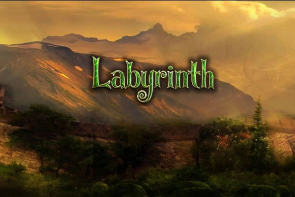 Game image: Labyrinth by Magellan Robotech