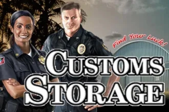 Game image: Customs Storage by Belatra