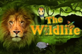 Game image: The Wildlife by Belatra