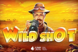 Game image: Wild Shot by R Franco