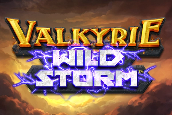 Game image: Valkyrie Wild Storm by Boomerang Studios