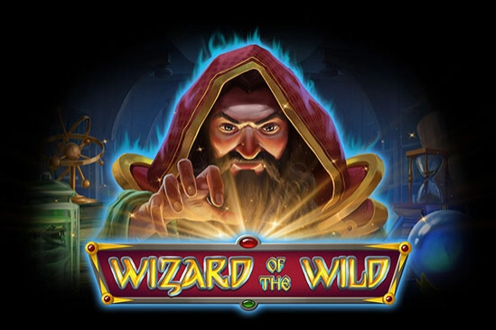 Game image: Wizard of the Wild by Platipus