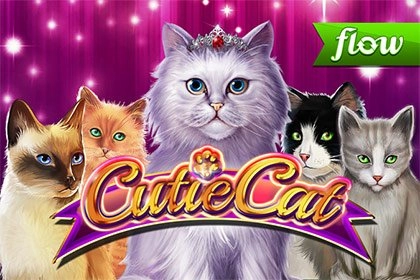 Game image: Cutie Cat by Gamomat