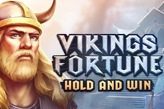 Game image: Vikings Fortune: Hold and Win by Playson
