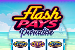 Game image: Flash Pays Paradise by Design Works Gaming