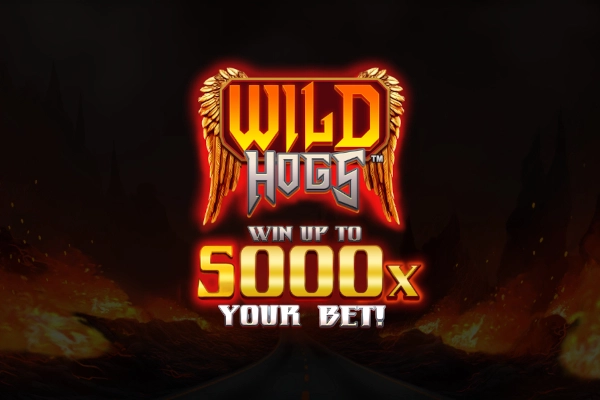 Game image: Wild Hogs by Stakelogic