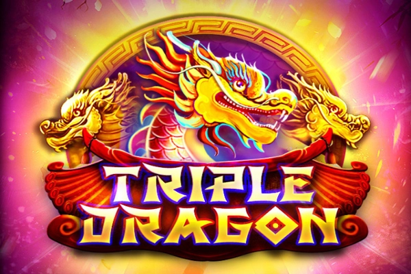 Game image: Triple Dragon by Platipus