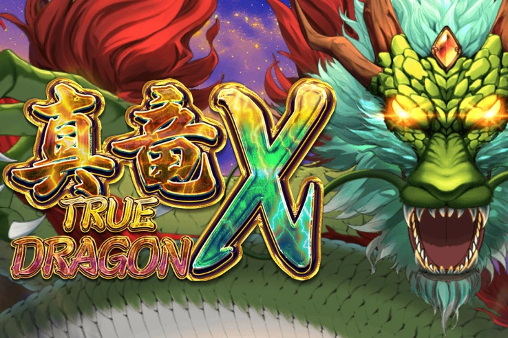 Game image: True Dragon X by Manna Play