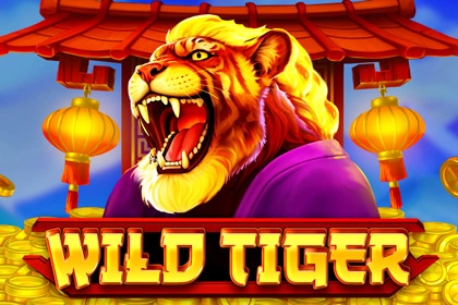Thumbnail: Wild Tiger by BGaming