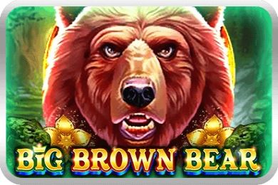 Game image: Big Brown Bear by UU Slots