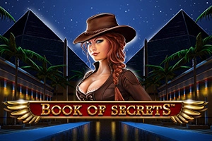 Game image: Book of Secrets by SYNOT Games