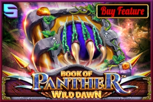 Game image: Book of Panther Wild Dawn by Spinomenal