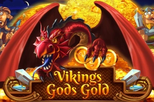 Game image: Vikings Gods Gold by PlayBro