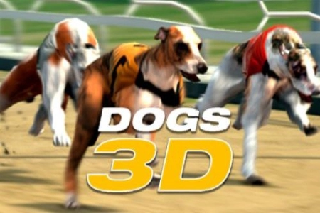 Game image: Dogs 3D by InBet Games