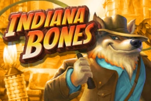 Game image: Indiana Bones by High 5 Games