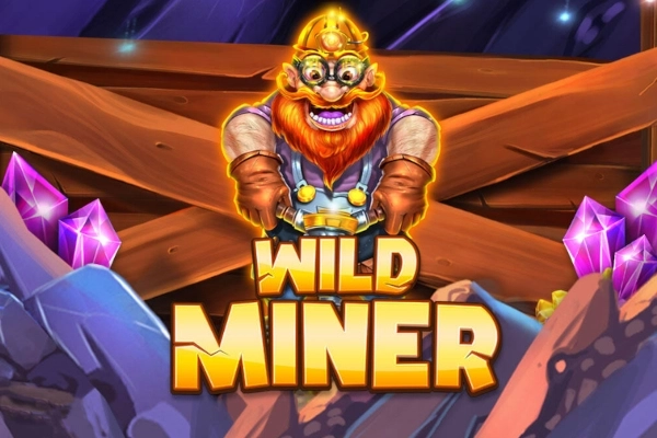Game image: Wild Miner by OneGame