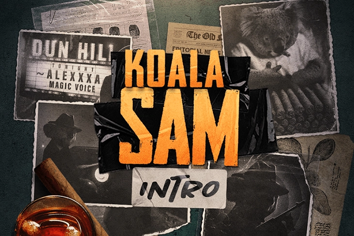 Game image: Koala Sam Intro by Chilli Games