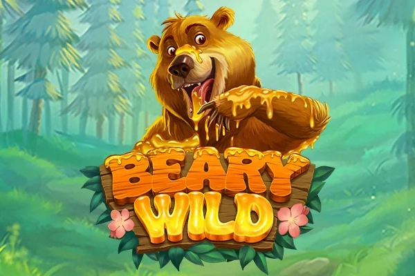 Game image: Beary Wild by RTG