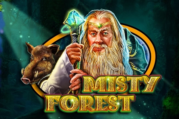 Game image: Misty Forest by CT Interactive