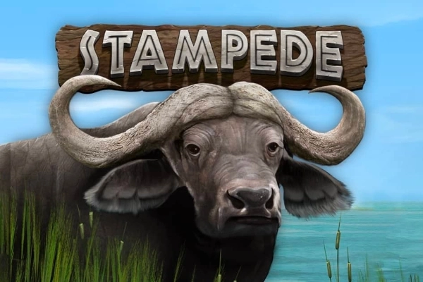 Thumbnail: Stampede by Eyecon