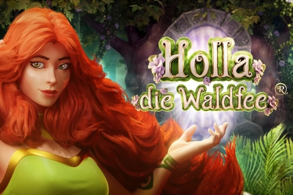 Game image: Holla die Waldfee by Holle Games