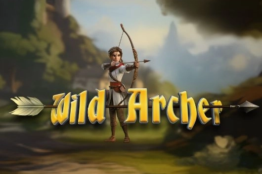 Game image: Wild Archer by Genii