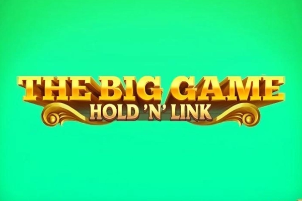 Game image: The Big Game Hold 'n' Link by NetGame