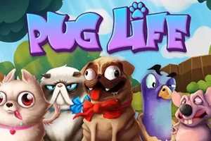 Thumbnail: Pug Life by Hacksaw Gaming